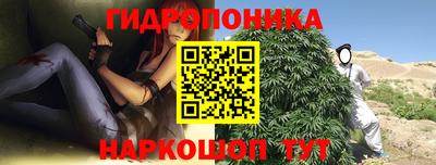 ALPHA PVP Ярославль