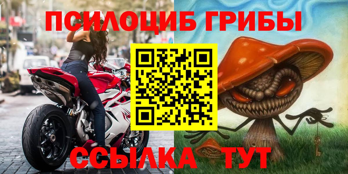 купить наркотик  Галлюциногенные грибы мицелий  Вход с VPN  Мичуринск 
